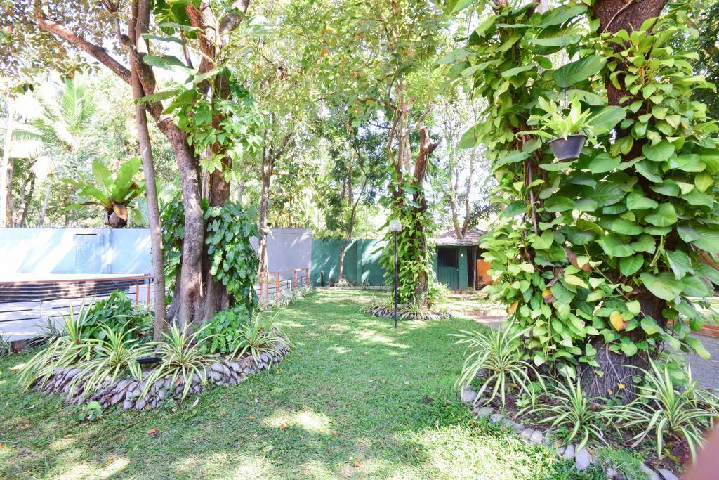 Anon Rest Hotel Dambulla Exterior foto