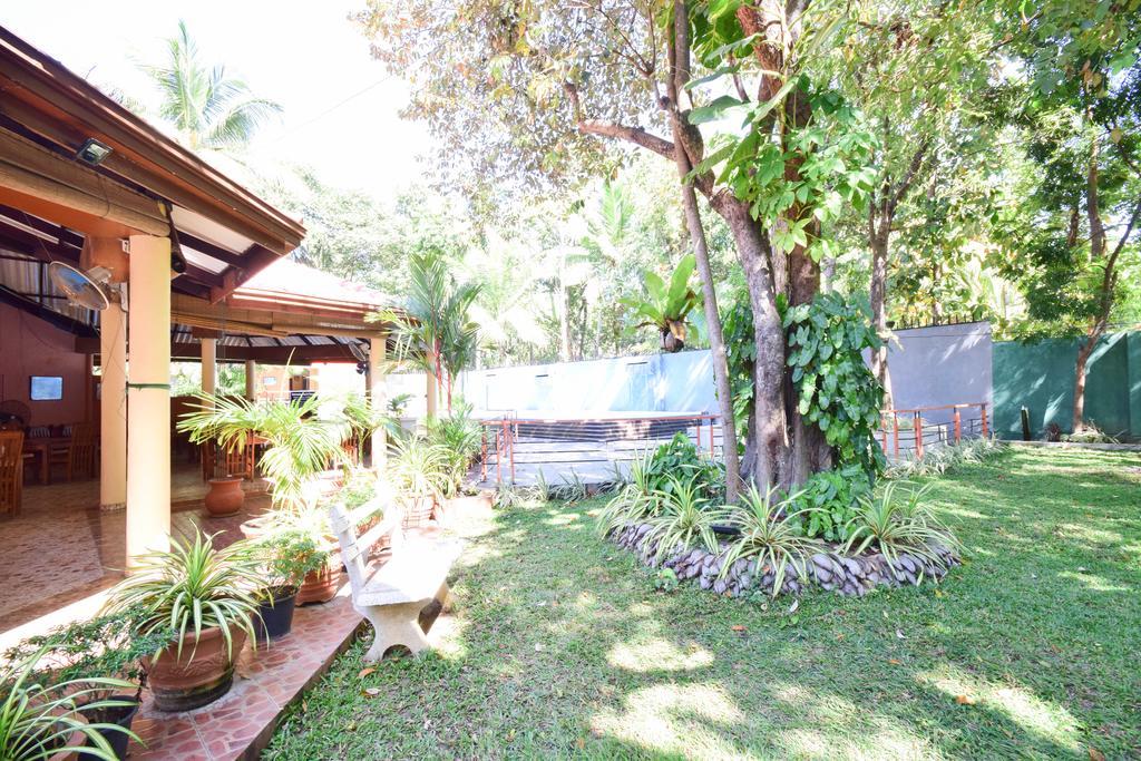 Anon Rest Hotel Dambulla Exterior foto